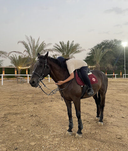 The saddle equestrian - Sharjah - +971 58 221 2116