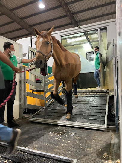 Alsakab - United Arab Emirates|Hay Aldubdabaah North - Sharjah