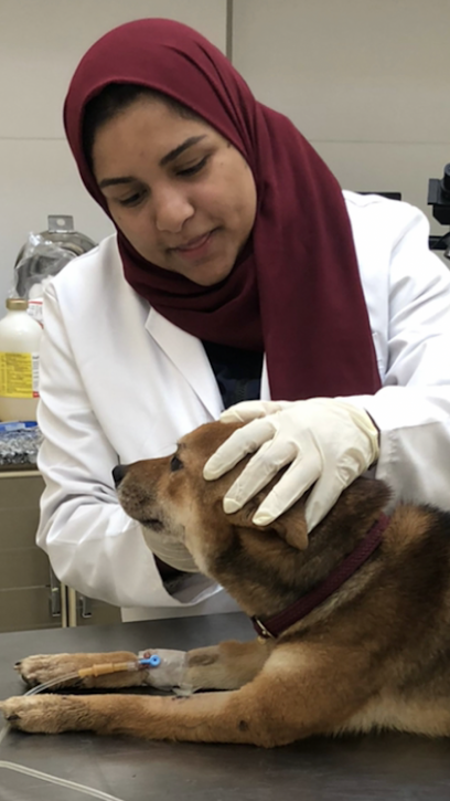 Al Rahmah Veterinary Clinic - United Arab Emirates|Ajman|Rashed bin abdelaziz