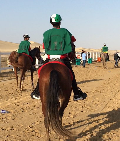 Al Sila Stable - Sharjah - +971 50 511 1025