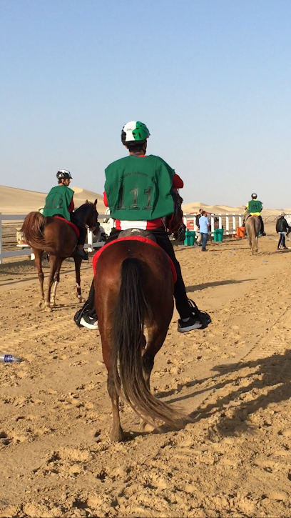 Al Sila Stable - United Arab Emirates|Al Wathba - Al-Wathba South - Abu Dhabi|5PMQ+JW7