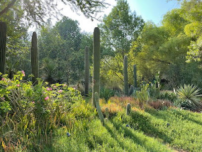 Al Noor Island - Sharjah - +971 6 506 7000