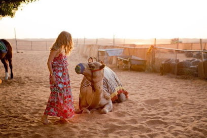 Desert Safari Sharjah - Sharjah - +971 50 404 6832