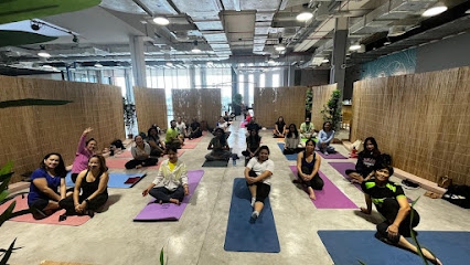 NerryFit Yoga - أبو ظبي - +971 50 747 8066
