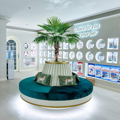 The City Vet Clinic - Al Barsha Mall - Umm Al Quawain - +971 4 251 4380