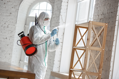 Complete Cleaning Services / CleanAbuDhabi.com - Sharjah - +971 50 223 3782