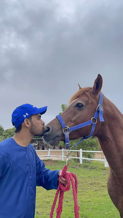 ALRAEEL STABLE - United Arab Emirates|Hatta|Al Buraymi Governorate Oman|R54W+F65