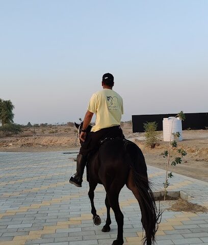 Essa stables - Sharjah - +971 50 750 8810