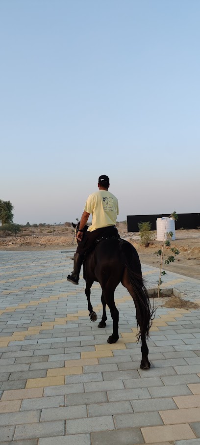 Essa stables - United Arab Emirates|Al Haramal - Ras al Khaimah|HWHQ+XC