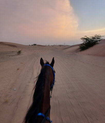 Stables - Sharjah -