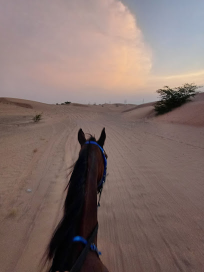 Stables - United Arab Emirates|Al Bedea Suburb - Agricultural Falah - Sharjah|8G2V+FHJ