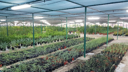 AGR Plant Nursery - Umm Al Quawain -