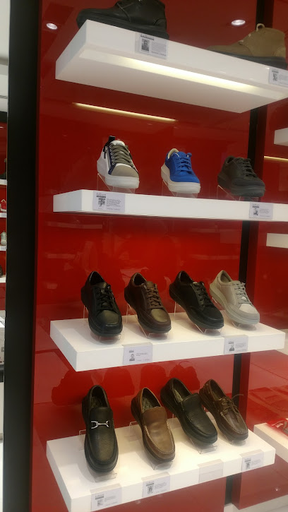 Kyboot - United Arab Emirates|Jumeirah - Jumeirah 3 - Dubai|Jumeirah Beach Road