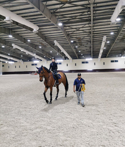 Bu Dheeb Stables - Sharjah - +971 2 564 1990