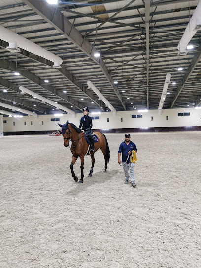 Bu Dheeb Stables - United Arab Emirates|Al Haffar - Abu Dhabi|6VMP+QHP