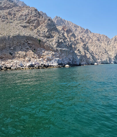 al saqr Travel & Tourism LLC | Ajman Branch - Sharjah - +971 50 490 4757