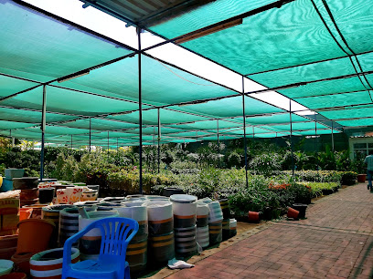 DUBAI NURSERY (L.L.C.) - Sharjah - +971 4 320 2004