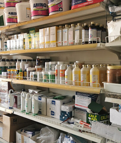 Wahat Alain veterinary - Umm Al Quawain - +971 52 773 4407