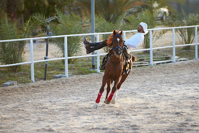 Yah Stables - Sharjah - +971 50 277 7748
