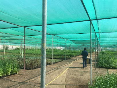 Akar Nursery - Umm Al Quawain - +971 4 296 3955