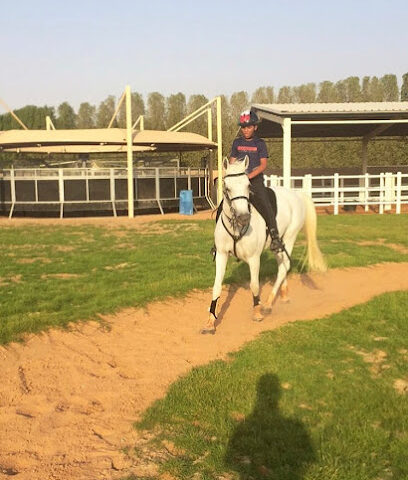 ALGHANDI STABLE - Sharjah -