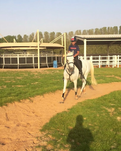 ALGHANDI STABLE - United Arab Emirates|Dubai|W84F+3QQ