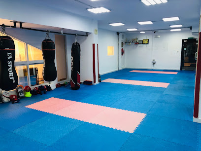karate and kickboxing coach abu dhabi - Sharjah - +971 50 677 1353