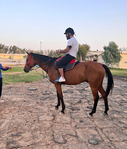 Al Jiyad Stables - Sharjah - +971 50 599 5866