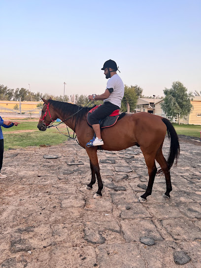 Al Jiyad Stables - United Arab Emirates|Dubai|Al Qudra Rd|R6FQ+H5R