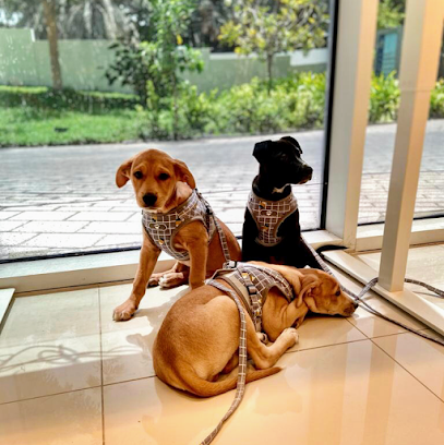 Animalia - Welfare & More - Umm Al Quawain - +971 54 442 4987