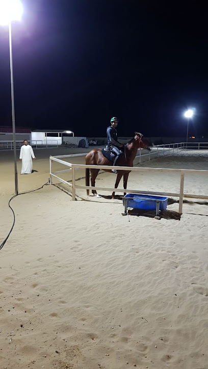 Bin Eid Stables - United Arab Emirates|Al Wathba - Abu Dhabi|5QFH+M68