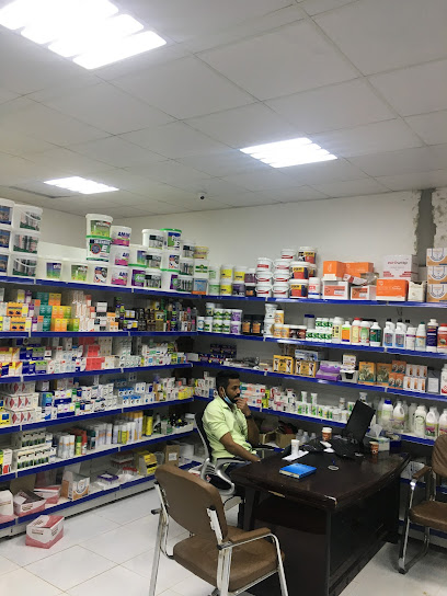 AL FANAR - United Arab Emirates|Ras Al-Khaimah|Unnamed Road|MWGF+8FC