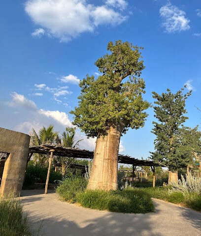 Sharjah Safari - Umm Al Quawain - +971 6 803 7777