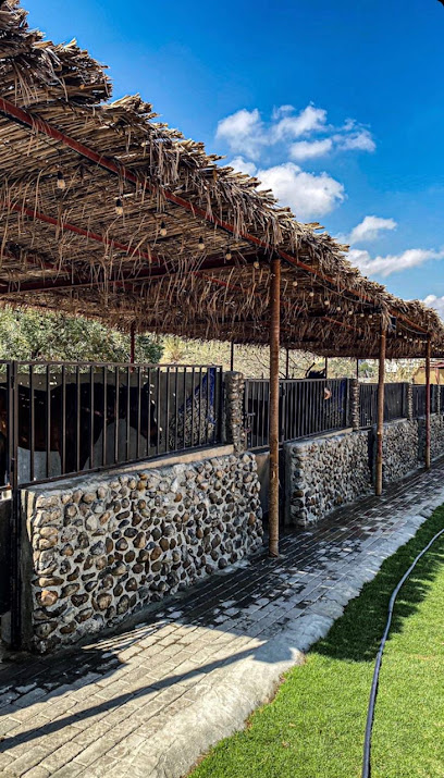 ROSH - United Arab Emirates|Sharjah|Unnamed Road - Khor Fakkan