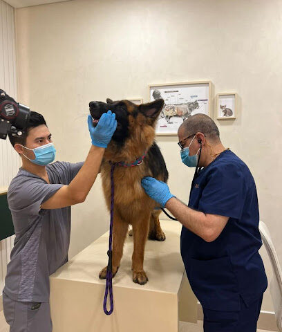 The City Vet Clinic - Al Warqa City Mall - Umm Al Quawain - +971 4 355 2751