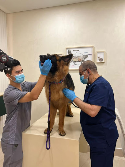 The City Vet Clinic - Al Warqa City Mall - United Arab Emirates|Al Warqa - Al Warqa 3 - Dubai|Mall