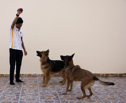 The City Vet Clinic - Abu Dhabi Branch - Umm Al Quawain - +971 2 448 2448