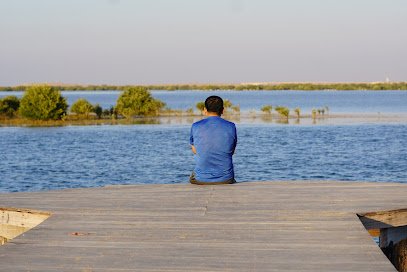 Mangrove Beach - Sharjah -