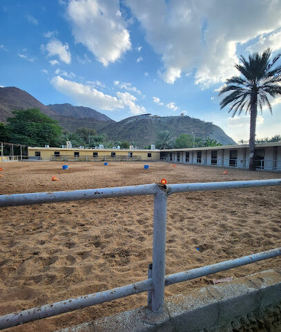 Alrayan stables - Sharjah -