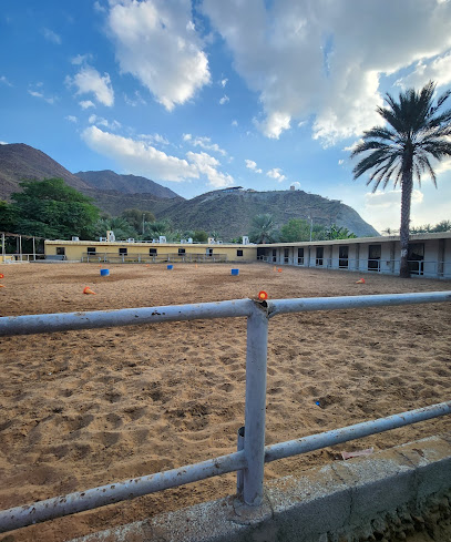 Alrayan stables - United Arab Emirates|Yarmouk - Sharjah|88PV+J8C