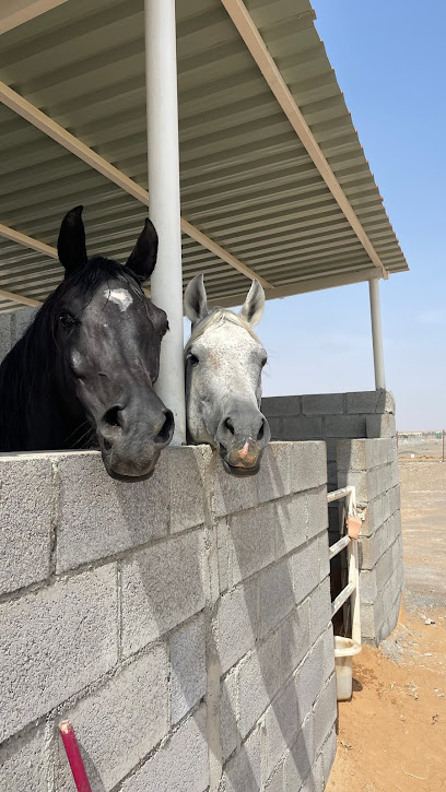 K11 stable - United Arab Emirates|Mudfak - Ras al Khaimah|HWJW+PH6