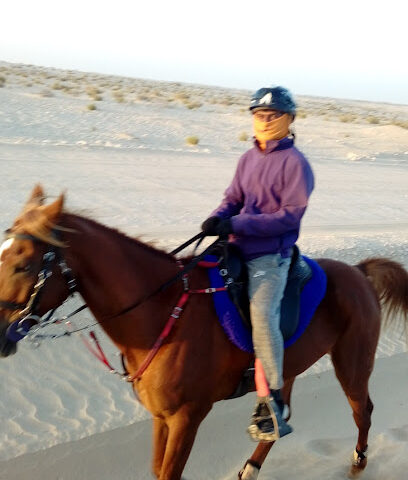 Al Maghaweer Stables اسطبلات المغاوير - Sharjah - +971 2 205 0000