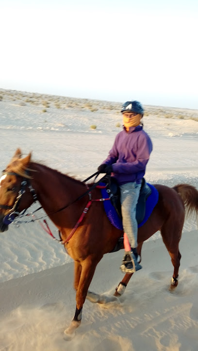 Al Maghaweer Stables اسطبلات المغاوير - United Arab Emirates|Al Mi'rad - Abu Dhabi|Sweihan Road