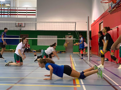RIO Volleyball Academy Dubai - Umm Al Quawain - +971 54 434 2274