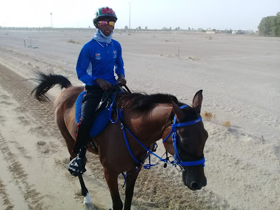 Al Nasr 2 stable - Sharjah -