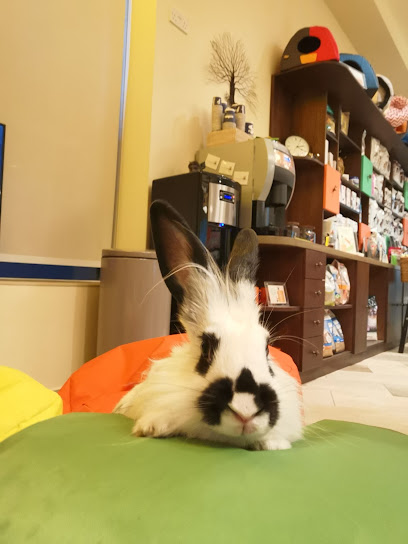 DKC Veterinary Clinic - United Arab Emirates|Motor City - Dubai|Detroit Rd|Daytona House