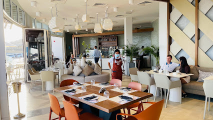 1484 By Puro - Sharjah - +971 4 815 7333