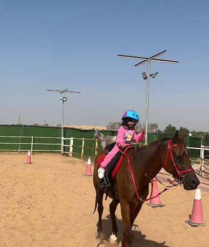Smash Equestrian - Sharjah - +971 55 566 5589