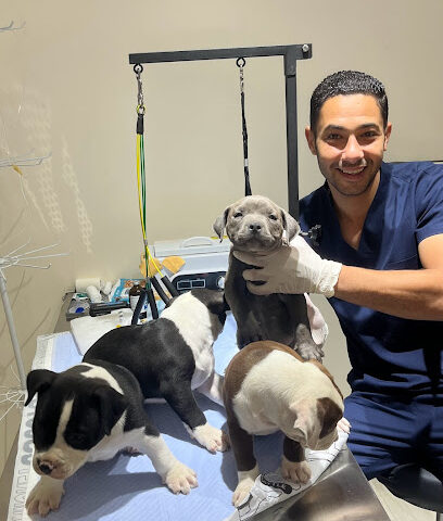 Pets health care بيتس هيلث كير - Umm Al Quawain - +971 56 995 5506