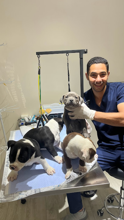 Pets health care بيتس هيلث كير - United Arab Emirates|Qidfiʻ - Fujairah